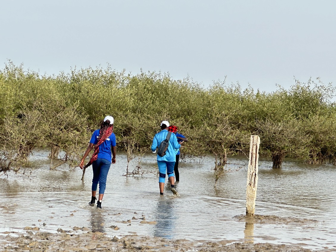 Lire la suite à propos de l’article Test MCO French